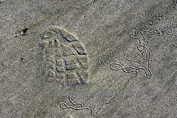 tracks 3734 1 graphic